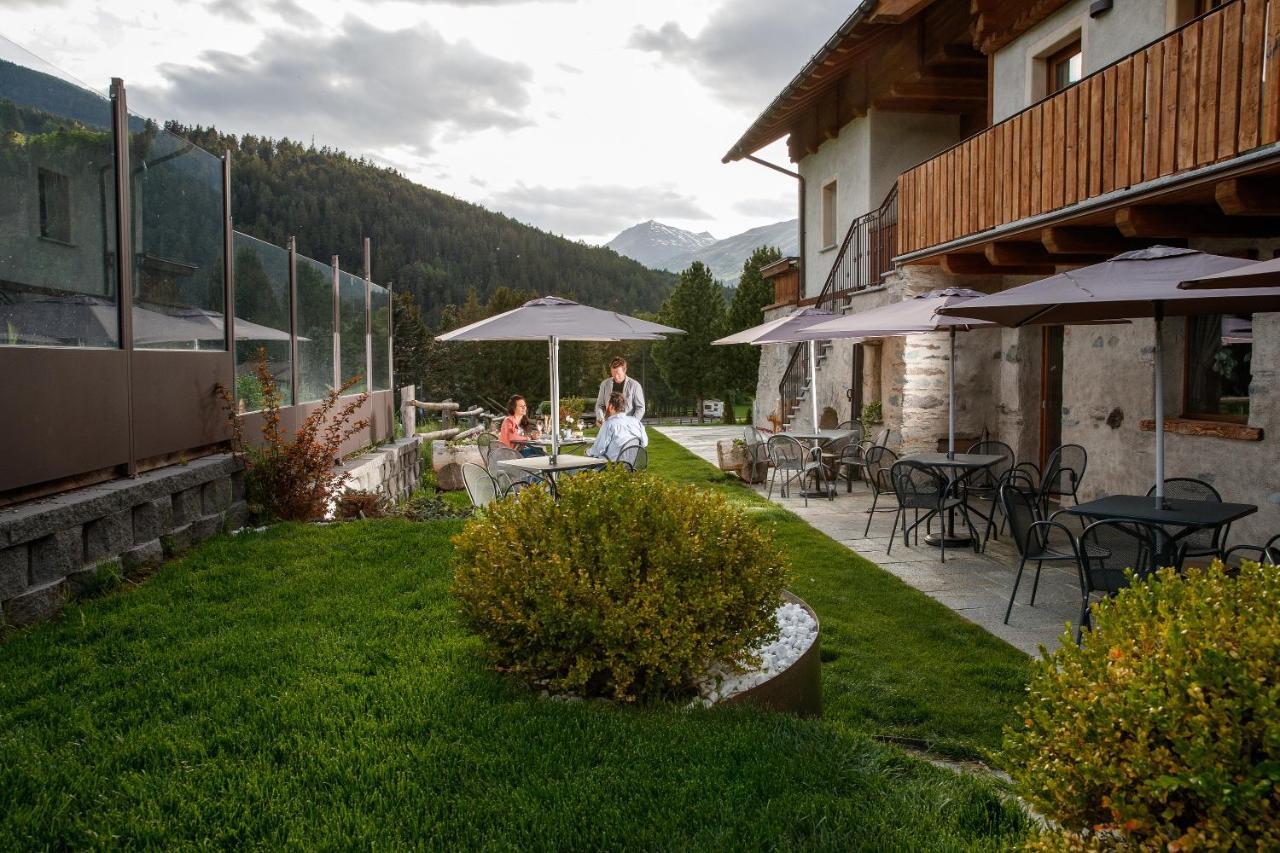 Farm stay San Gallo *