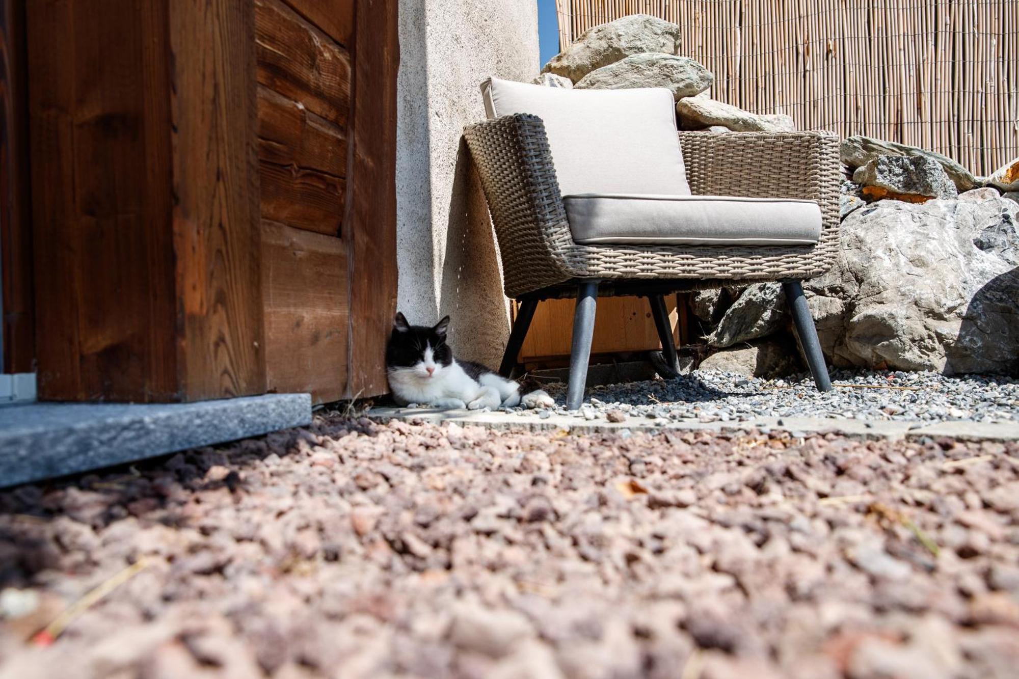 Farm stay San Gallo Bormio